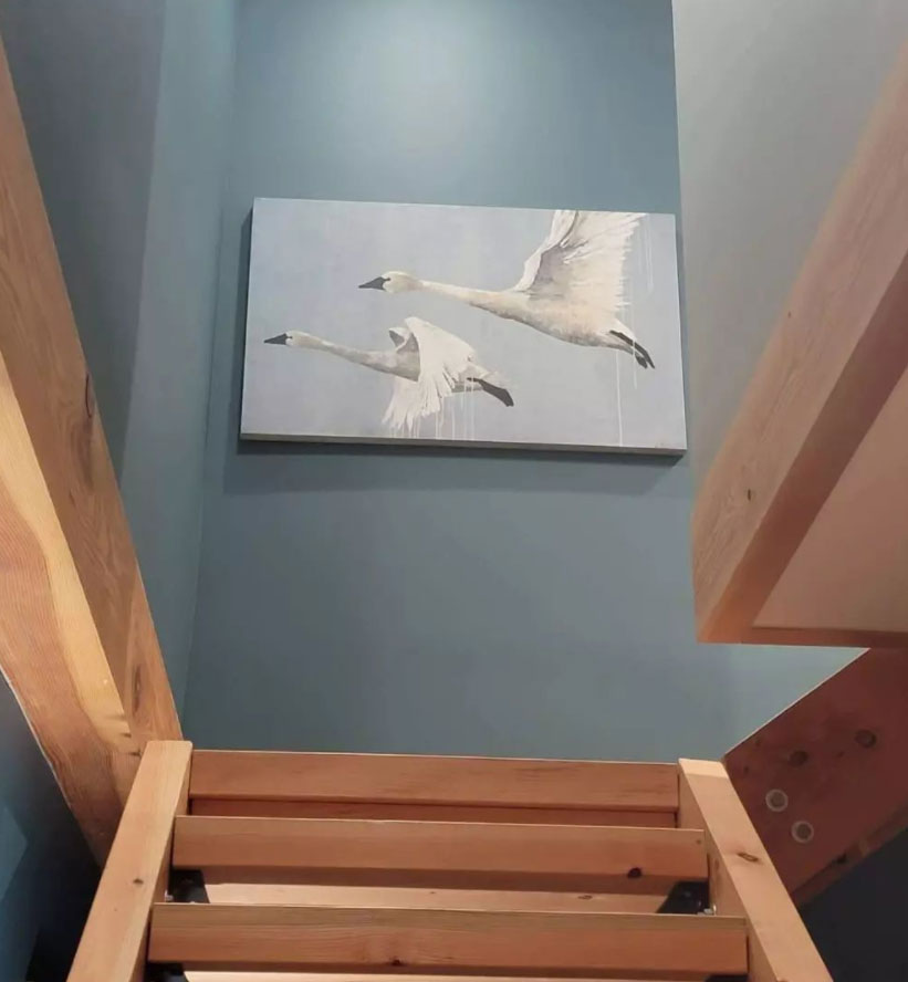 Trumpeter Swan painting by Andrea Wikstrom in its forever home