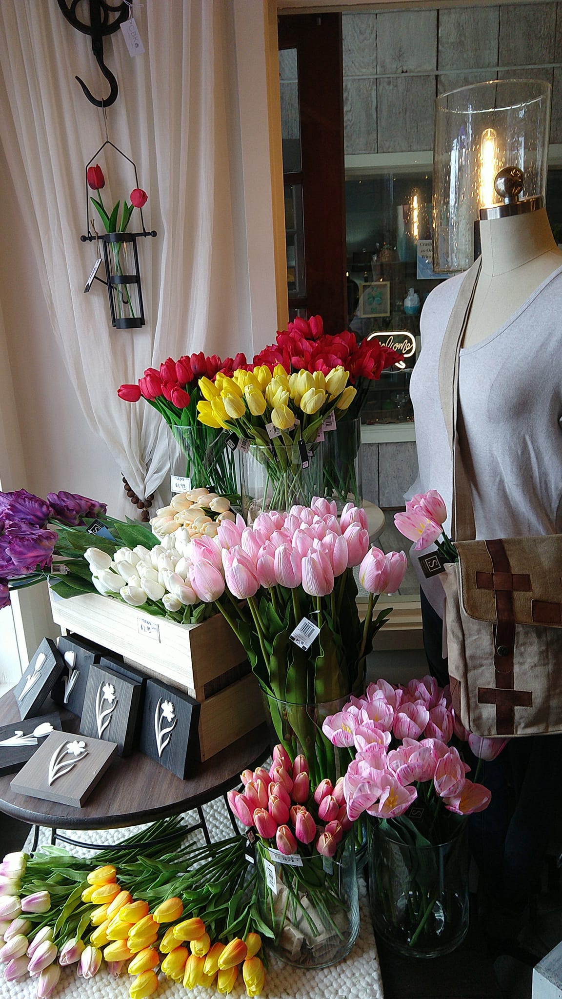 tulipdisplay